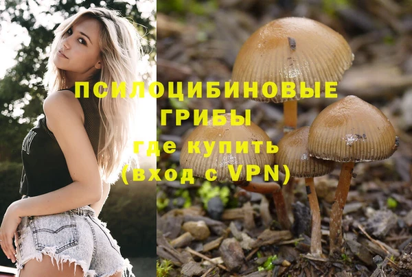 ПСИЛОЦИБИНОВЫЕ ГРИБЫ Абаза