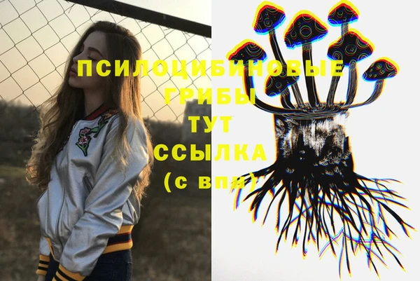 ПСИЛОЦИБИНОВЫЕ ГРИБЫ Абаза