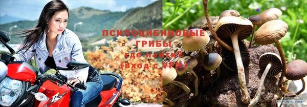мяу мяу мука Абдулино