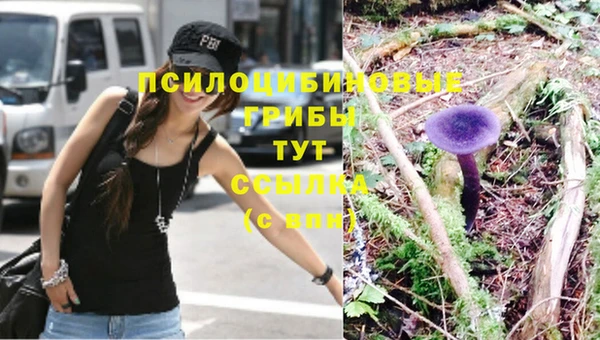 герыч Абинск