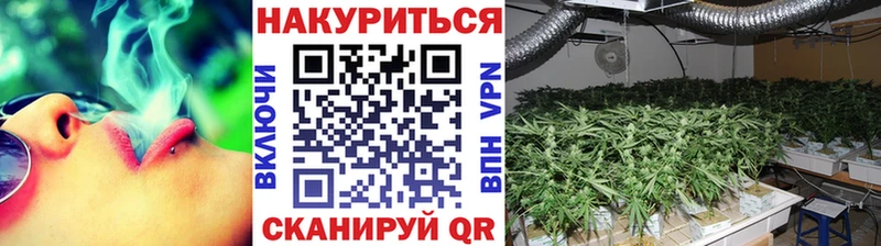 Бошки Шишки THC 21%  где продают   Чекалин 